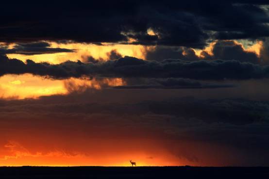 ҰԷ áEOS 7D 