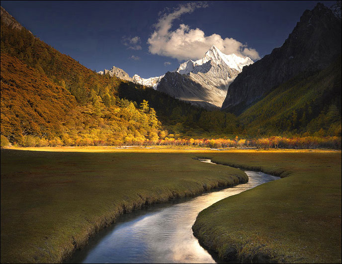 Ӱ Michael AndersonƷ 