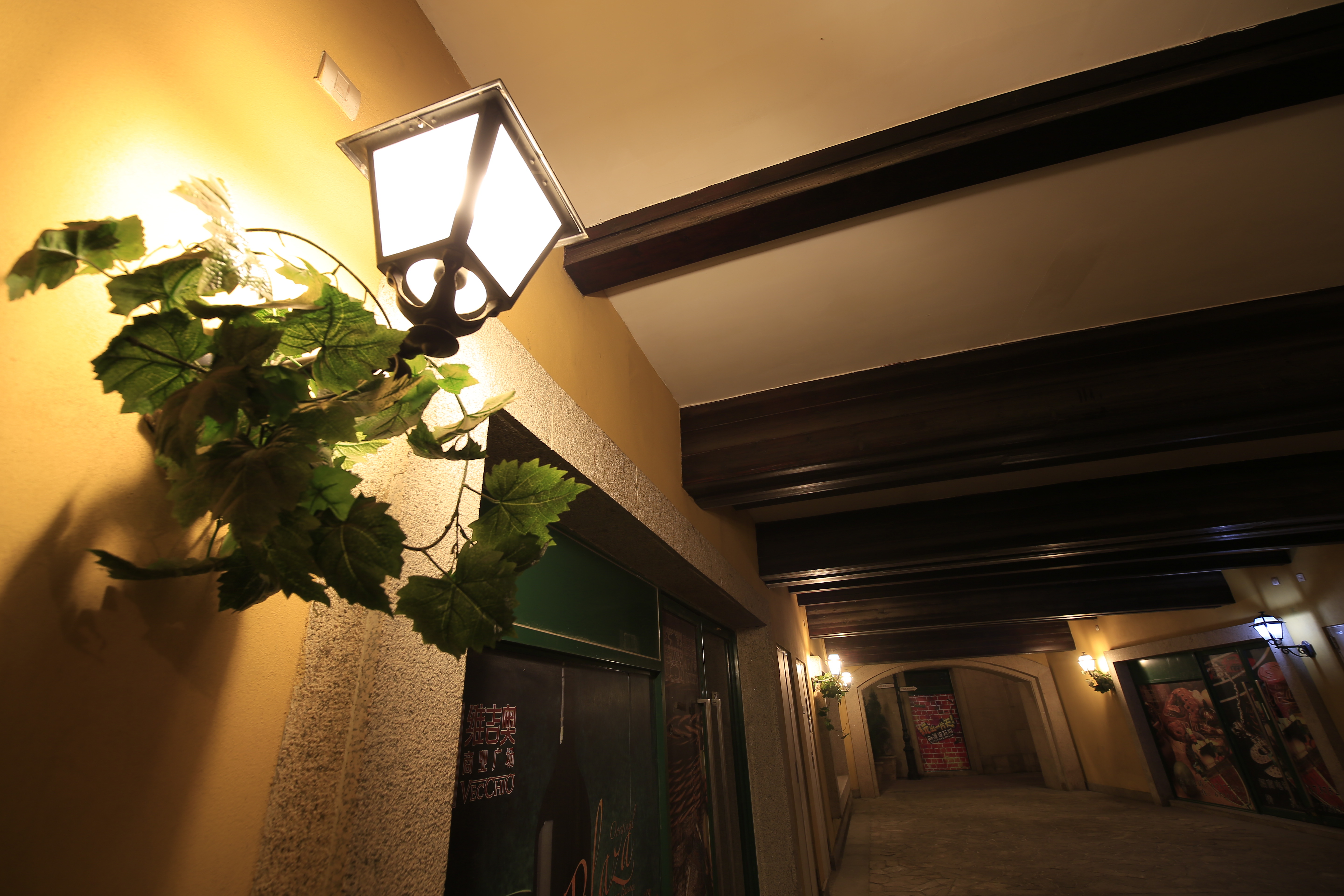 D800+5D3 ˾Distagon2.8/15˫ײ