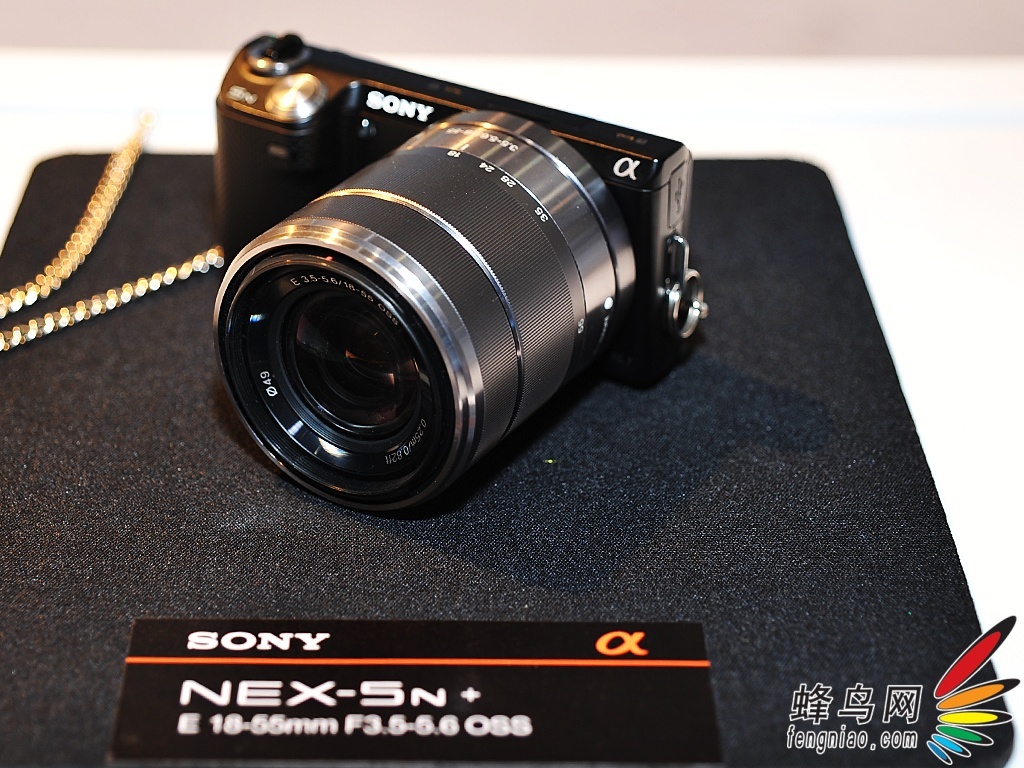 P&E2012NEX-5Nֳչʾ