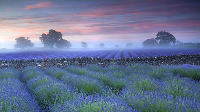 英国自然美景摄影大赛获奖作品