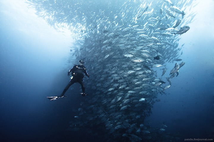 海底摄影：你不曾见过的海底