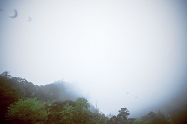 被迷雾吞噬的森林之歌 – Jason Yang
