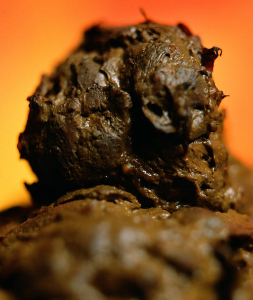 Andres Serrano ġʺϵƷ