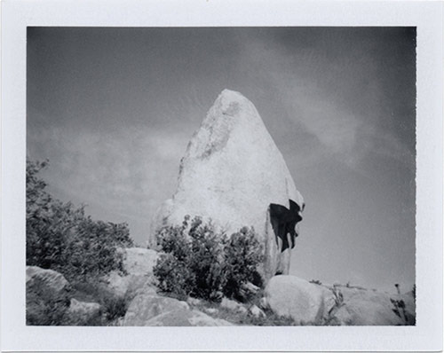 ĪΤɳĮʯ Allie Mount ӰƷ