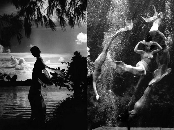 Toni Frissell¼սʱ