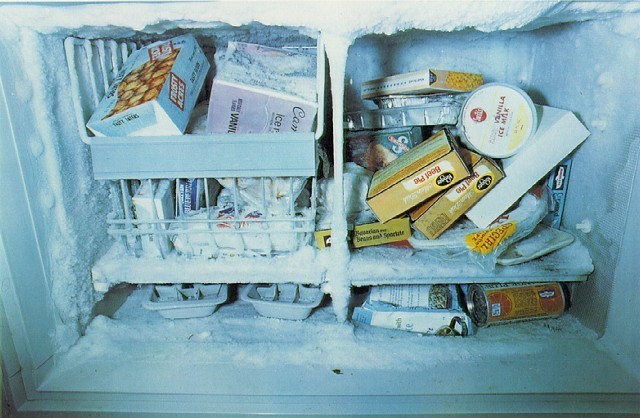 William EgglestonĲɫӰƷ