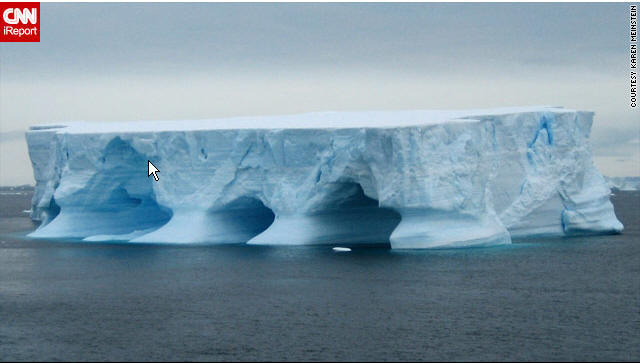 【CNN】记者拍摄的南极野生动物和风光