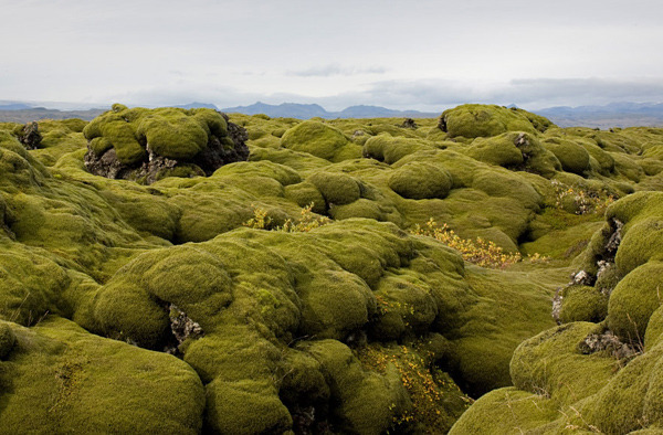 冰岛的无人之景Lieven Dirckx 摄