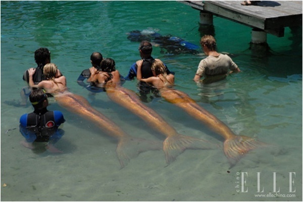 《加勒比海盗4》最美剧照：美人鱼魅惑奇幻秀
