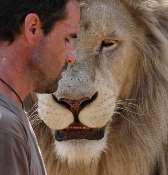南非白狮王国的“狮语者”