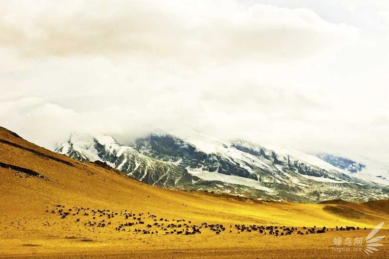 我的镜头在说话：贾育平新疆风景摄影