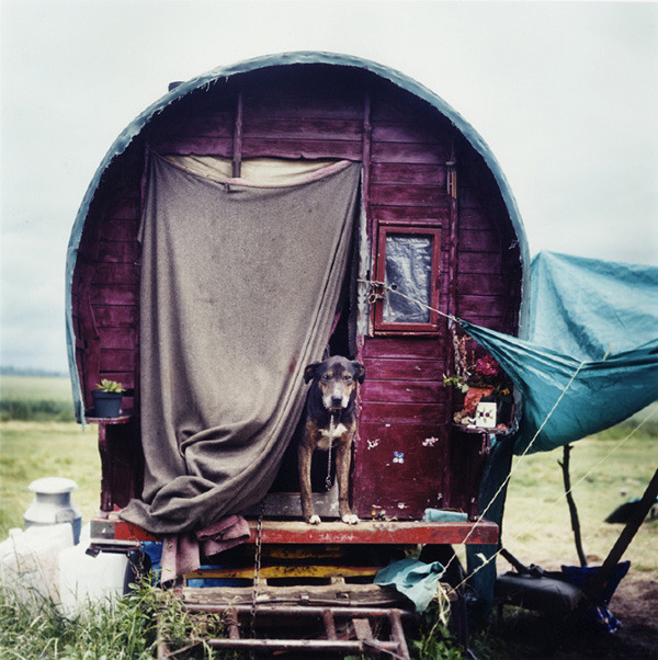 Iain McKellӰƷ¼