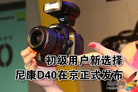 ȵѶ ֮ ῵D40 