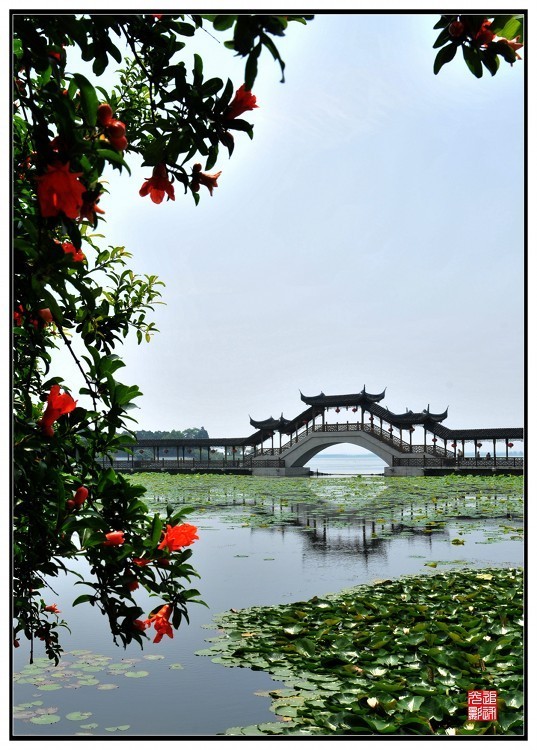 上海市郊旅行新去处 昆山锦溪浪漫仲夏