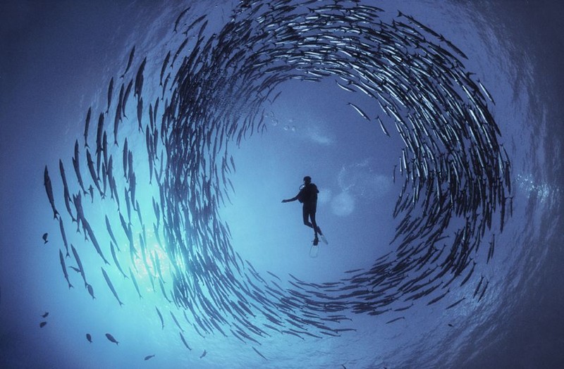 碧海追踪：水下摄影捕捉世界尽头的惊艳