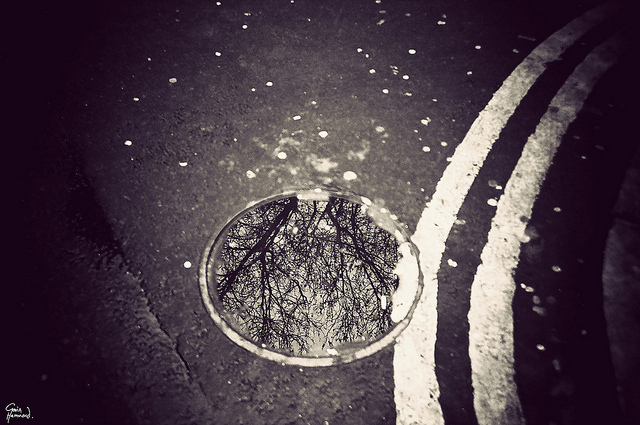 黑白视觉摄影 雨水洼中倒映不一样的伦敦