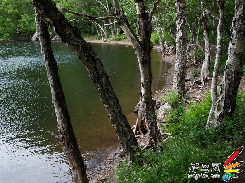 奥巴E-M5拍长白山——绿渊潭与小天池