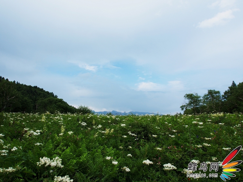 奥巴E-M5拍长白山——长白山王池美景