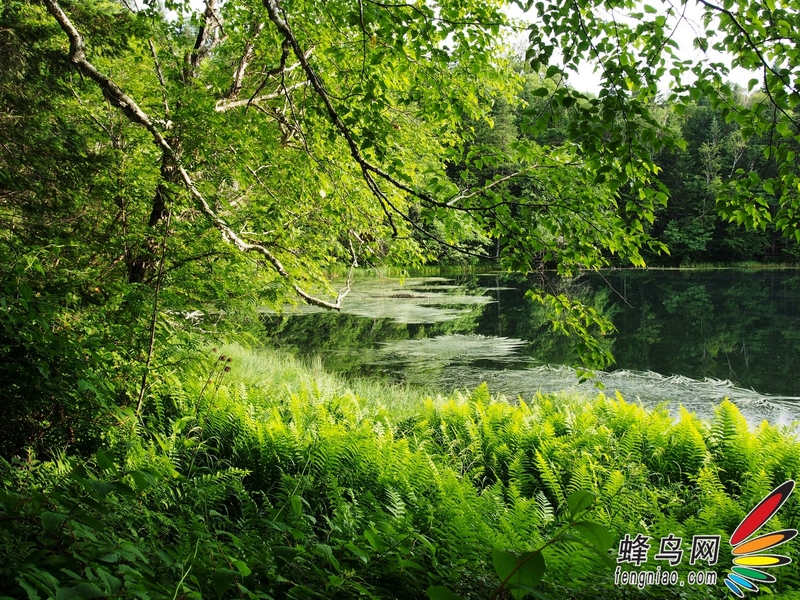 奥巴E-M5拍长白山——长白山王池美景