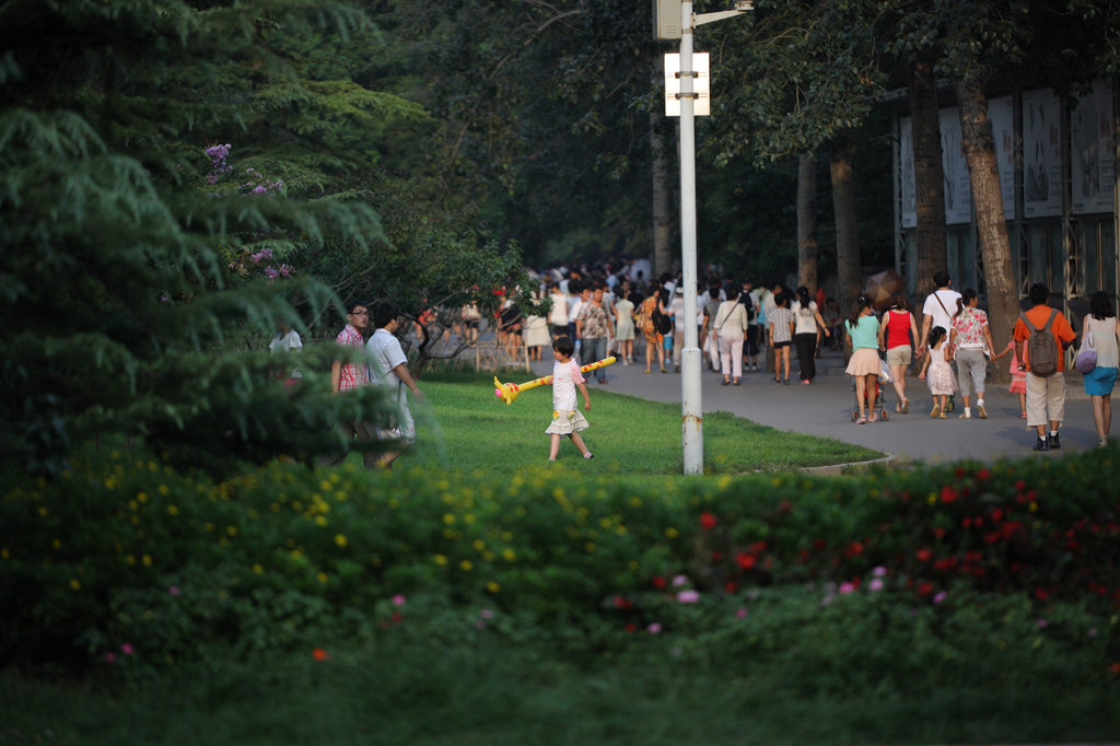 适马180mm f/2.8长焦微距镜头样张图赏