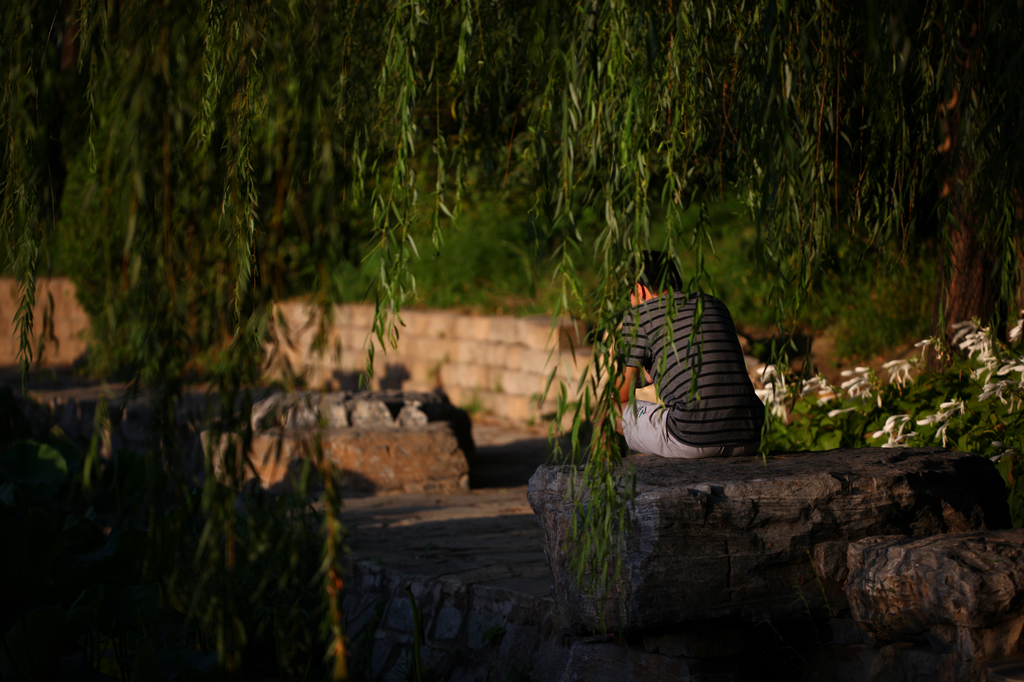 适马180mm f/2.8长焦微距镜头样张图赏