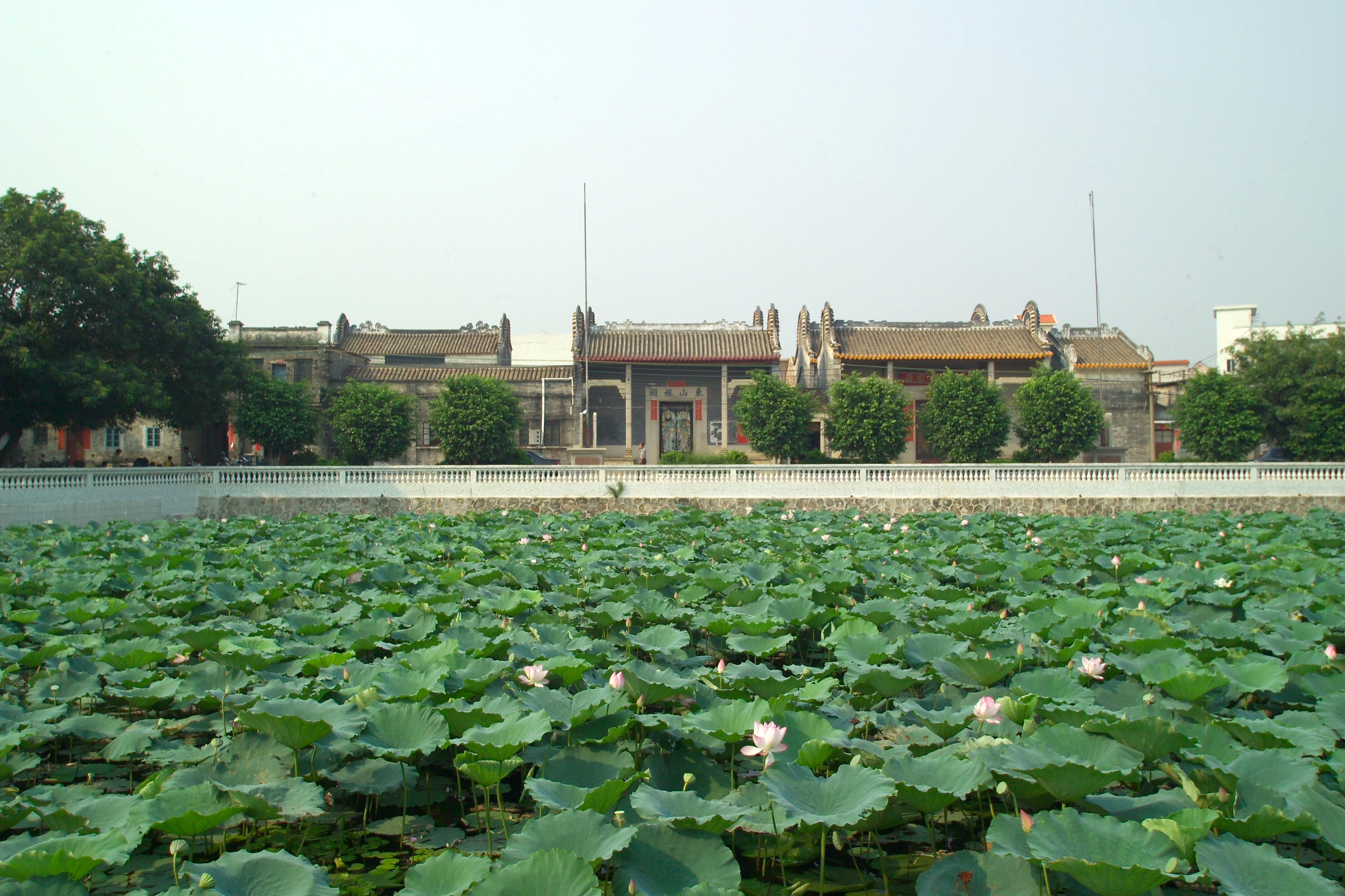 2012第24届全国摄影艺术展在线作品展示