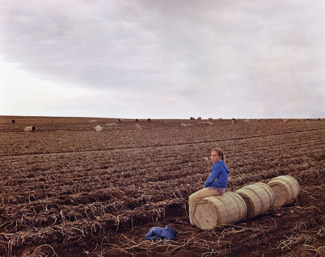 Joel Sternfeld：新彩色摄影时期的美国图景