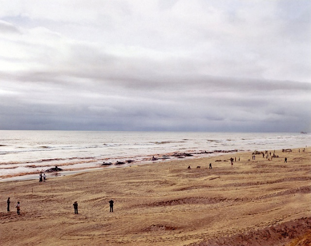 Joel Sternfeld：新彩色摄影时期的美国图景