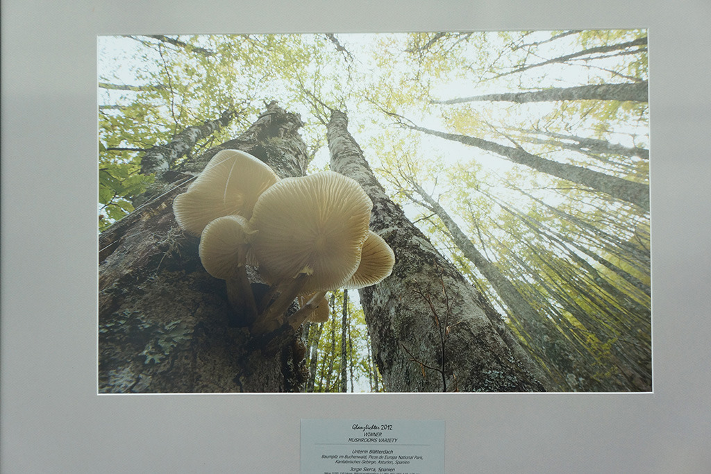 Photokina2012： Glanzlichter展台影展