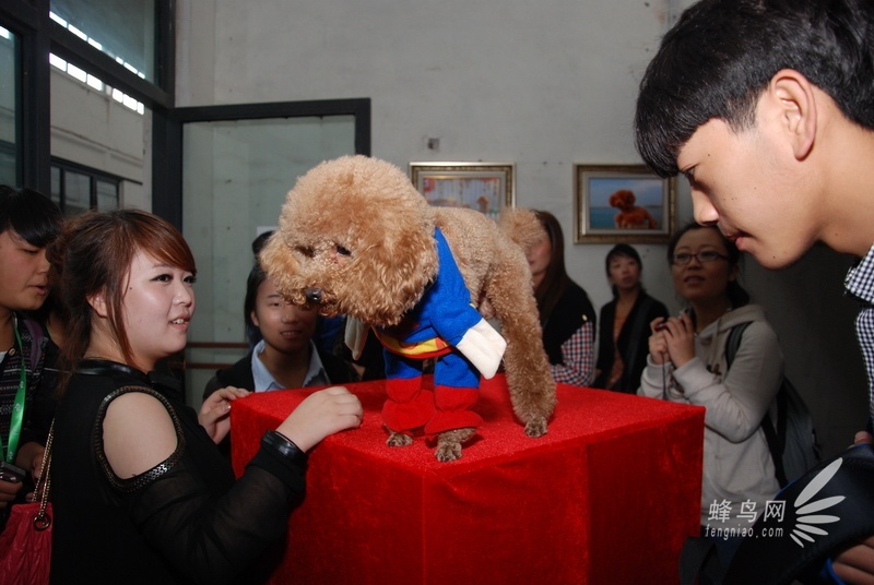 蜂眼看平遥之棉织厂展区现场精彩图集