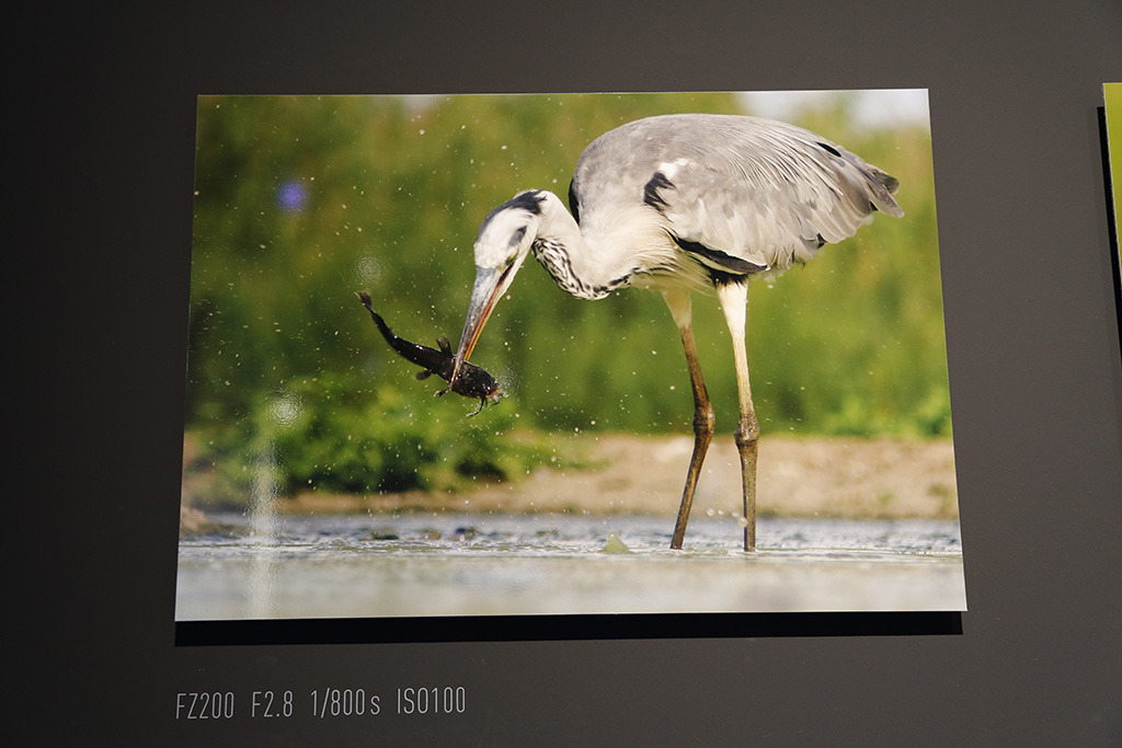 photokina2012： 松下展台影展全接触