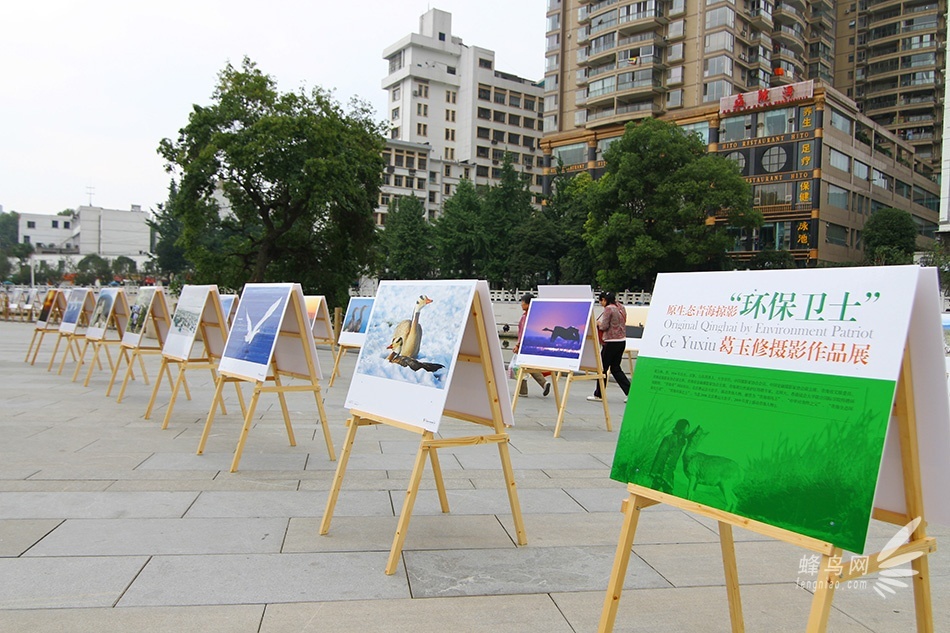 第五届多彩贵州摄影展之国内作品主题展