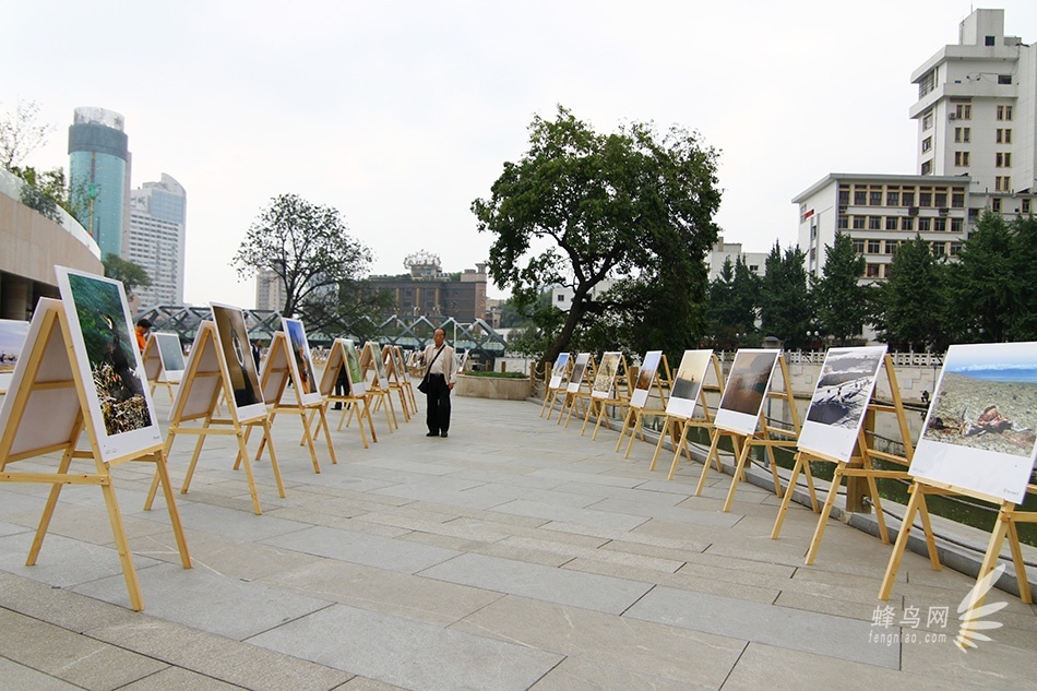 第五届多彩贵州摄影展之国内作品主题展