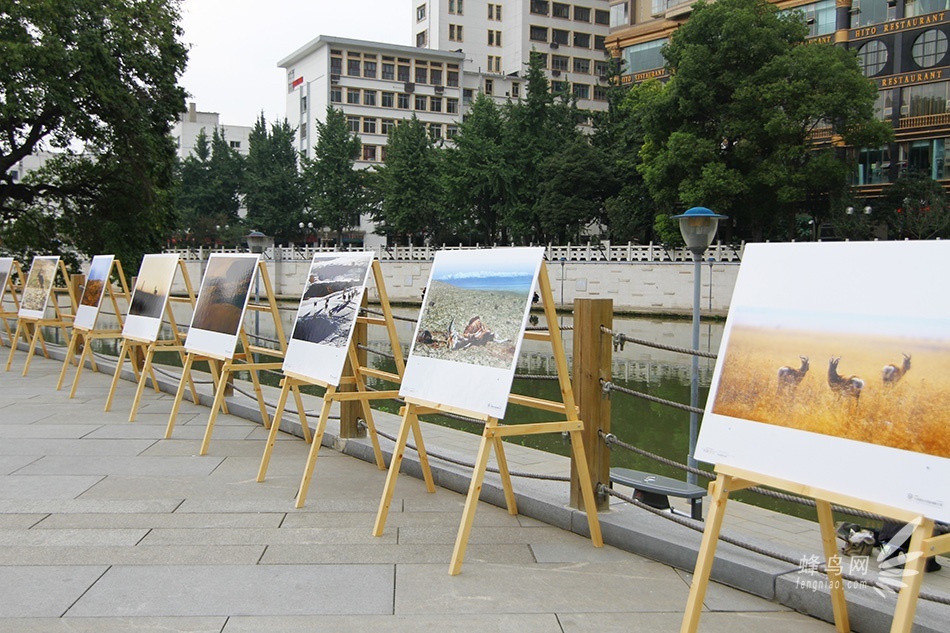 第五届多彩贵州摄影展之国内作品主题展