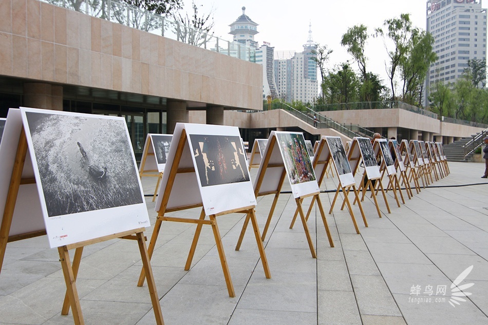 第五届多彩贵州摄影展之国内作品主题展