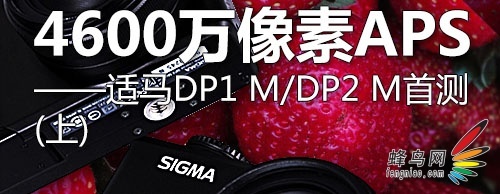 Ʒʵջ DP1M/DP2Mײ() 