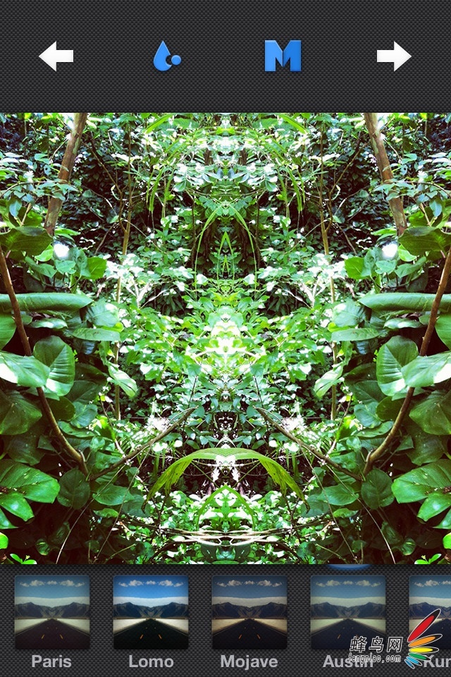 Mirrorgram:ڲͬľӰȤ