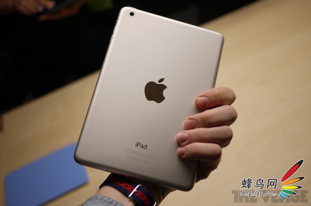 iPad mini棺ָвĻ