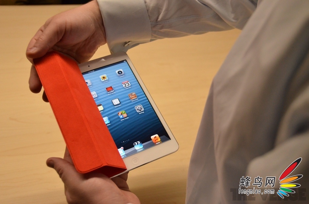 iPad mini棺ָвĻ
